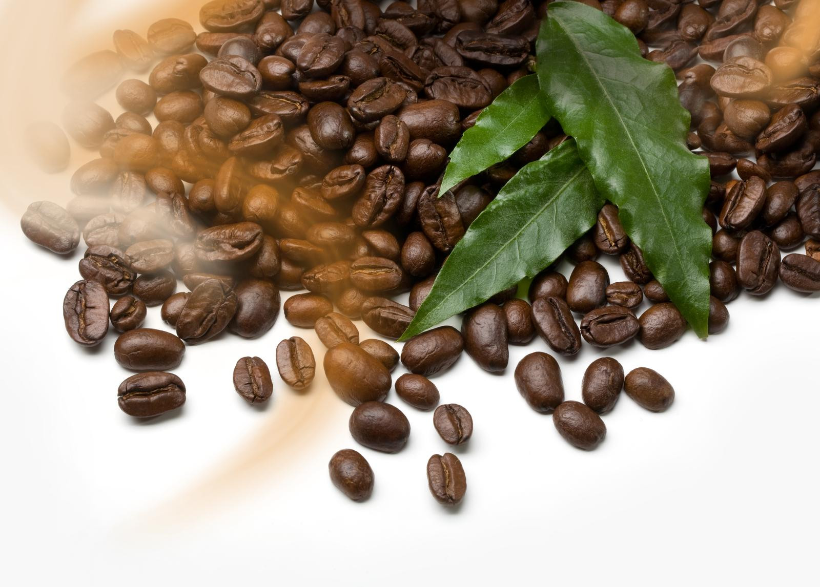 Comment bien choisir son café