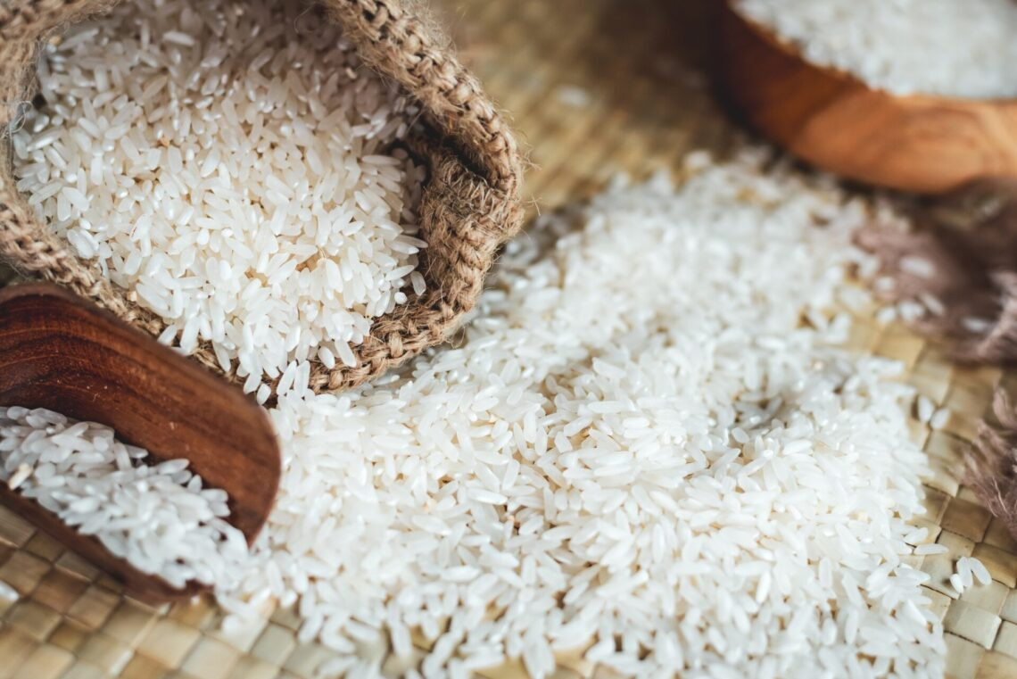 Vue rapprochée du riz asiatique
